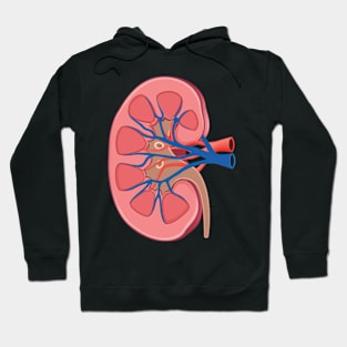 human Kidney anatomy Hoodie